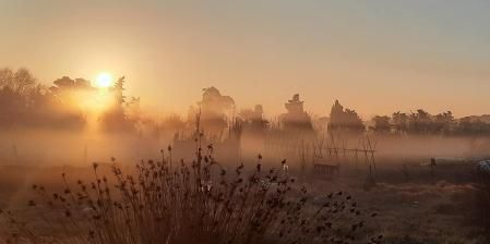 Nieblas costeras en Gavà.