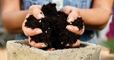 COMPO SANA Substrato Universal de calidad