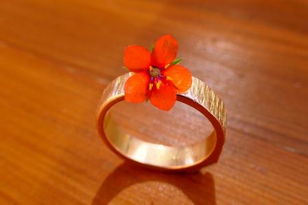 Una pimpinela escarlata posada sobre un anillo, haciendo una alegoría a la película que lleva el mismo nombre que la flor.