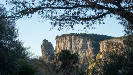 Amanecer seco en el Collsacabra.