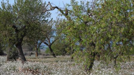 Reto visual: ¿Puedes localizar al pájaro?