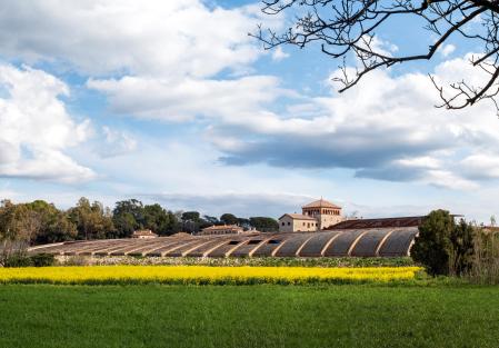 Vista general de la bodega de Peralada
