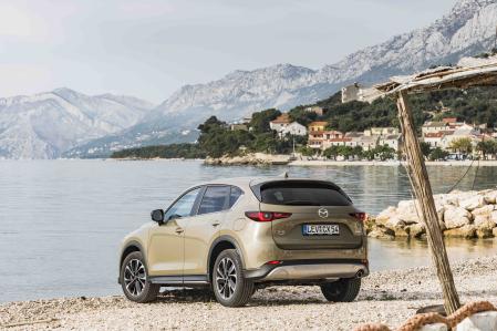 Su maletero tiene 522 litros de capacidad en las versiones de gasolina, mientras que los diésel ofrecen 510 litros de volumen útil&nbsp;