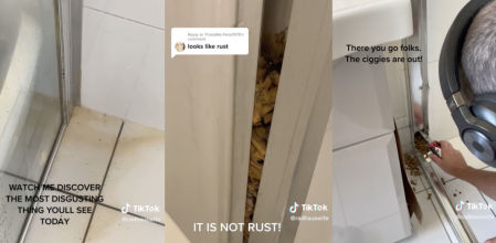 Su lavabo olía fatal y descubrieron lo que hacían los anteriores inquilinos en la ducha: "Parece un cementerio de macarrones" (@radhauswife)<br>