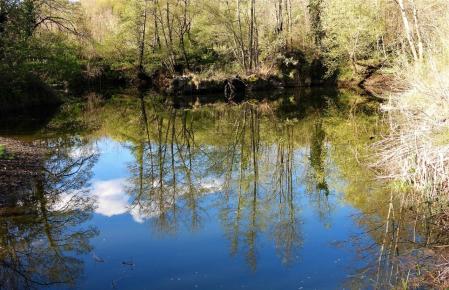 Poca agua en el Fluvià en la Vall d'en Bas.