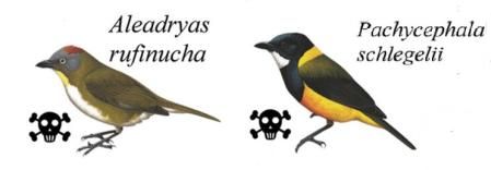 Representación de ejemplares de las dos especies venenosas  .