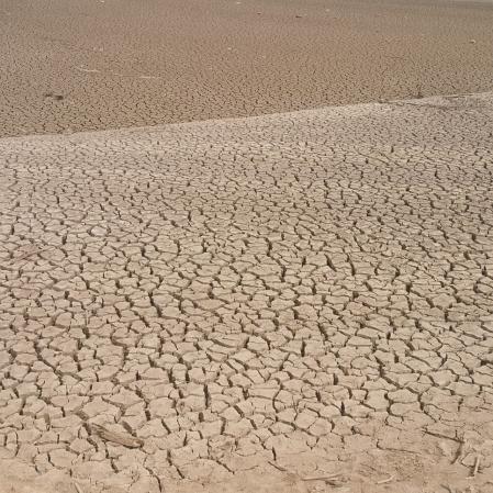Paisaje de sequía en Sau.