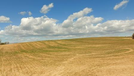 Paisaje de sequía en el Urgell.