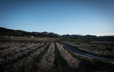 Paisaje de primavera en la Serra d’Almos.