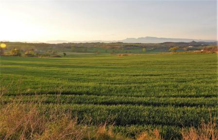 Siguiendo el camino Vora Ter.