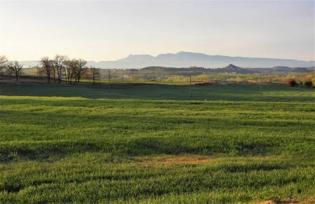 Siguiendo el camino Vora Ter.