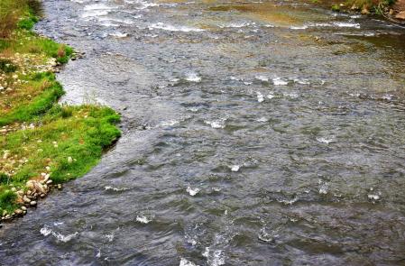 Siguiendo el camino Vora Ter.