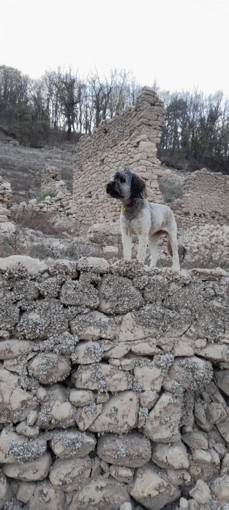 Sequía en la Baells.