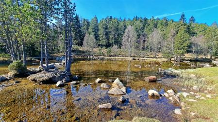 Primavera en el lago de Puigcerdà.