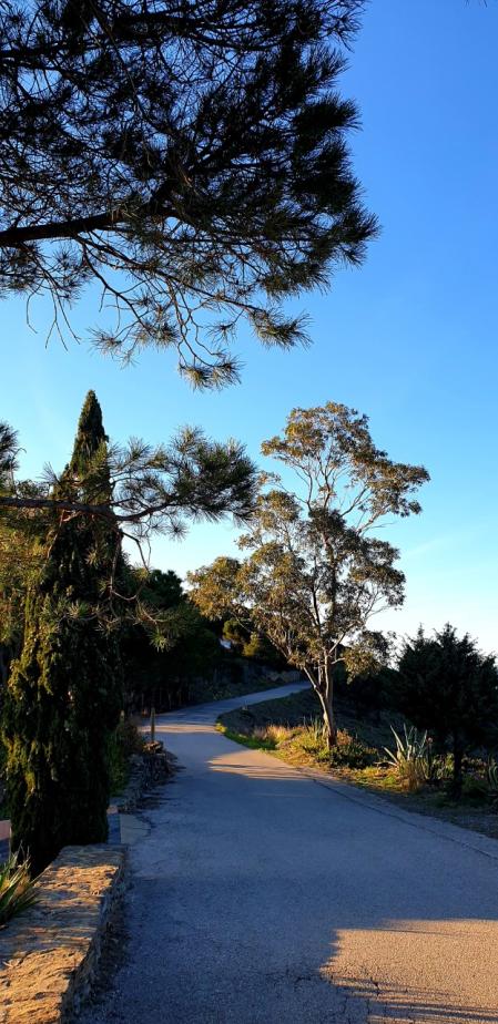 Primavera en El Port de la Selva.