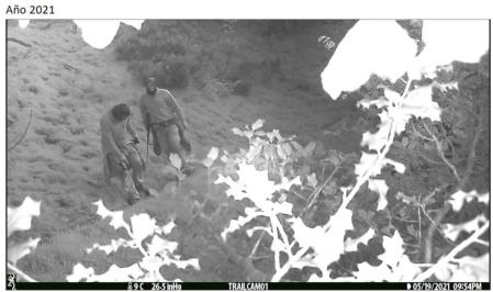 Las múltiples imágenes de furtivos fueron captadas con solo dos cámaras, lo que indicaría que el problemas puede estar muy extendido  .