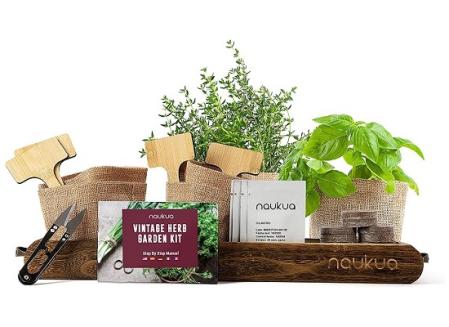 naukua Mini Huerto Urbano Vintage de Plantas Aromáticas y Culinarias