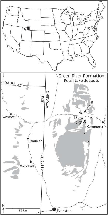 Localización de la formación Green River y del punto en el que se encontraron los fósiles  .