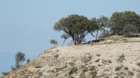 El banco que buscamos, en detalle.