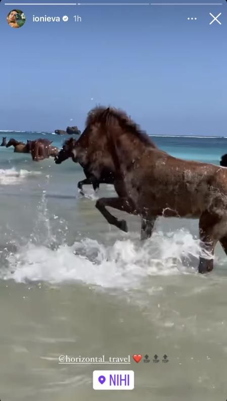 Íñigo comparte su experiencia con los caballos salvajes de Indonesia