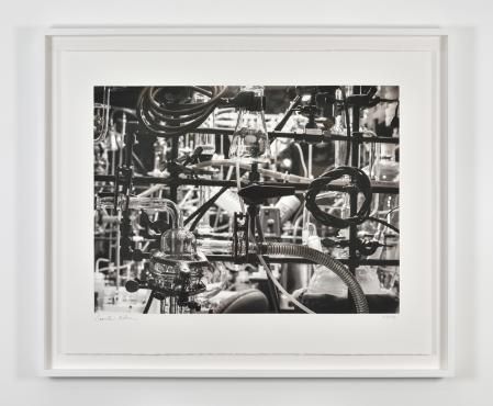 Fotografía de Carsten Holler en la exposición The Citrus Project