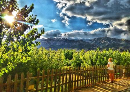 Primavera en la sierra de Queralt.