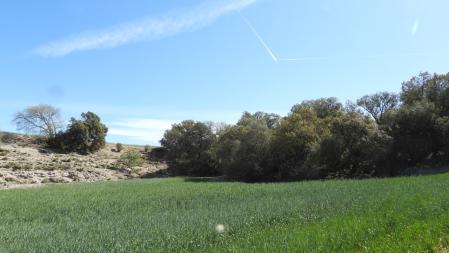 Estelas de condensación.