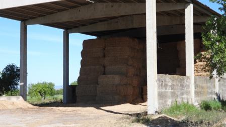 Reto visual: ¿Eres capaz de ver al gorrión?