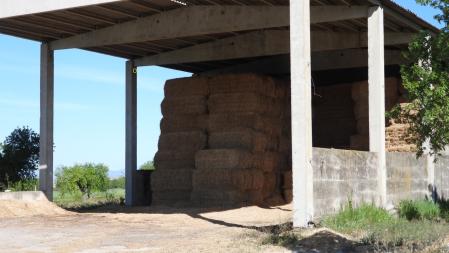 La posición del gorrión señalizada.