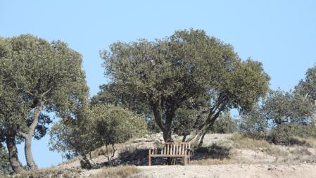 El banco que buscamos, en detalle.