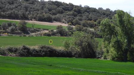 Solución al Reto visual de la aguililla.