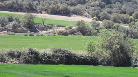 La posición de la aguililla señalizada.