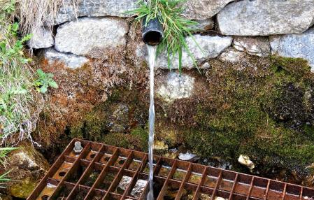 Primavera con poca agua en el Ter.