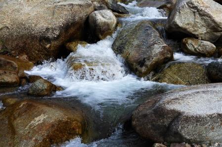 Primavera con poca agua en el Ter.