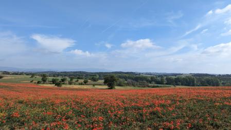 La belleza natural de Gallecs.