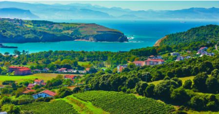 Itsasmendi Artizar Borgoña 2016