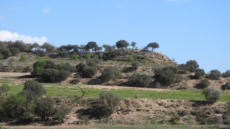 Reto visual: ¿Eres capaz de encontrar el banco en esta otra imagen más fácil?