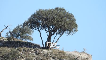 El banco, en detalle.