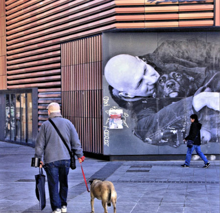 El perro, el mejor guía.