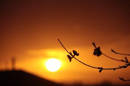 Amanecer en el Tarròs.