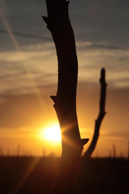 Amanecer en el Tarròs.