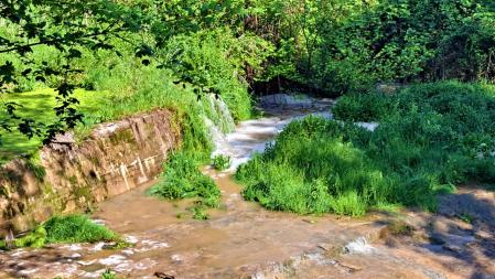 Siguiendo el camino Vora Ter.