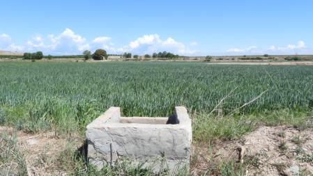 Paisaje del Canal d'Urgell.