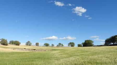 Paisaje del Canal d'Urgell.