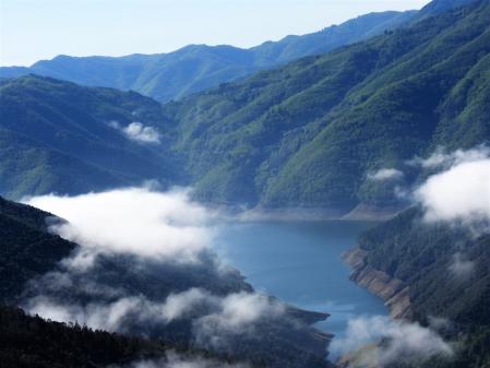 Niebla sobre el pantano.