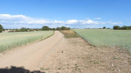 Reto visual: ¿Dónde está la luna?