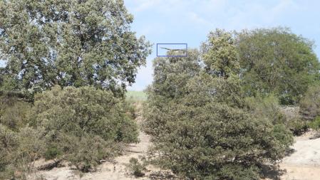 Solución al Reto visual del milano real.