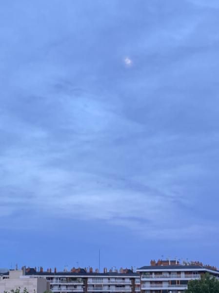 Luna de las Flores en Barcelona.