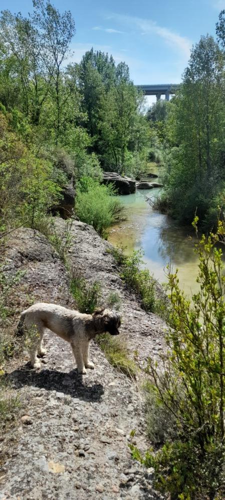 La Via Verda del Llobregat en los alrededores de Cal Rosal.