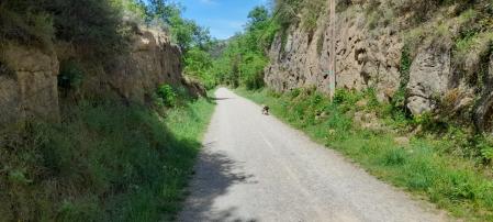Siguiendo el camino de la Via Verda del Llobregat.
